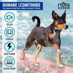Nola & Coco® Oplaadbare Anti Blafband - 4 Kleuren - Zonder Schok - Waterdichte Diervriendelijke Blaf Halsband - Opvoedingshalsband - Voor Grote En Kleine Honden - Lichte Vibratie En Geluid - 3 Tot 60kg -Katten En Honden Verkoop Winkel 1200x1200 68