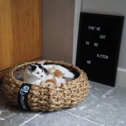 District 70 COCOON - Luxe Hondenmand Van Duurzaam Hoogwaardig Riet Met Zacht Kussen - Maten S/M/L - Large -Katten En Honden Verkoop Winkel 1200x1200 94