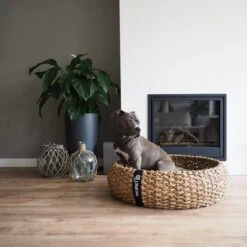 District 70 COCOON - Luxe Hondenmand Van Duurzaam Hoogwaardig Riet Met Zacht Kussen - Maten S/M/L - Large -Katten En Honden Verkoop Winkel 1200x1200 95