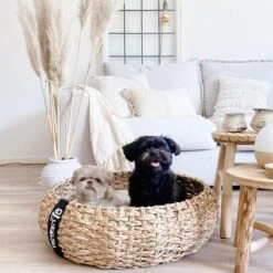 District 70 COCOON - Luxe Hondenmand Van Duurzaam Hoogwaardig Riet Met Zacht Kussen - Maten S/M/L - Large -Katten En Honden Verkoop Winkel 1200x1200 97