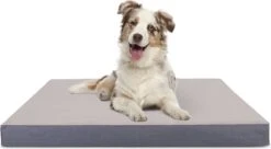 Nobleza Orthopedische Hondenkussen Wasbaar - Hondenbed - Maat L: 90 X 70 X 8 Cm - Grijs -Katten En Honden Verkoop Winkel 1200x663