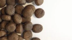 Carocroc Grain Free - Gevogelte/Aardappel/Bieten - Hondenvoer - 15 Kg -Katten En Honden Verkoop Winkel 1200x675