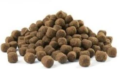 VERSELE-LAGA Opti Life Adult Mini - 7,5 Kg -Katten En Honden Verkoop Winkel 1200x689 1