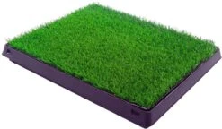 Merkloos Maoo Premium Hondentoilet - Geurbestendig & Hondvriendelijk Kunstgras - Uitneembare Opvangbak - Indoor En Outdoor - 63 X 50 Cm -Katten En Honden Verkoop Winkel 1200x698