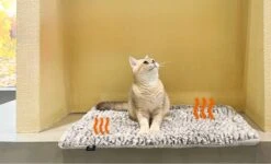 Merkloos Zelfverwarmende Dierendeken Zonder Stroom Thermo Deken Hond Kat Inclusief Adreslabel 70 X 47 Cm -Katten En Honden Verkoop Winkel 1200x730