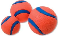 Chuckit! 10 Chuckit Ballen In Emmer - Chuckit - Veilig Voor Gebit - Hondenbal - Past In Werpstok -Katten En Honden Verkoop Winkel 1200x751 1
