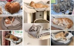 Merkloos Zelfverwarmende Dierendeken Zonder Stroom Thermo Deken Hond Kat Inclusief Adreslabel 70 X 47 Cm -Katten En Honden Verkoop Winkel 1200x751 2