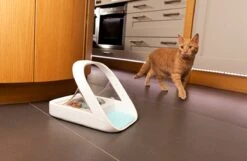 Surefeed Microchip Pet Feeder - Voerbak - 30 X 23 X 22 Cm -Katten En Honden Verkoop Winkel 1200x780 2