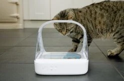Surefeed Microchip Pet Feeder - Voerbak - 30 X 23 X 22 Cm -Katten En Honden Verkoop Winkel 1200x780 3