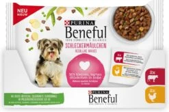 Beneful Pouch - Hondenvoer Kip & Rund In Saus - 40 X 100 G -Katten En Honden Verkoop Winkel 1200x796