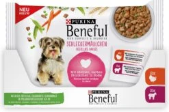 Beneful Pouch - Hondenvoer Kalkoen & Lam In Saus - 40 X 100 G -Katten En Honden Verkoop Winkel 1200x798
