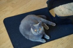 Merkloos Tastelio XXL Kattenbakmat 75x55cm - Groot Kattenbak Mat Met Innovatieve Honingraatstructuur - Dubbele Waterdichte Laag - Katten Bak Mat Met Eenvoudige Reiniging Grit Opvanger 20 Merkloos Tastelio XXL Kattenbakmat 75x55cm - Groot Kattenbak Mat Met Innovatieve Honingraatstructuur - Dubbele Waterdichte Laag - Katten Bak Mat Met Eenvoudige Reiniging Grit Opvanger -Katten En Honden Verkoop Winkel 1200x799 15