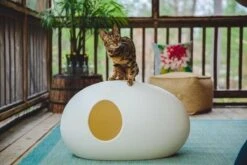 SinDesign Poopoopeedo Kattenbak - Zwart -Katten En Honden Verkoop Winkel 1200x800 19