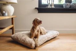 Designed By Lotte Hondenkussen Pluche Xanti Beige 100 X 68 X 5 Cm -Katten En Honden Verkoop Winkel 1200x804 1