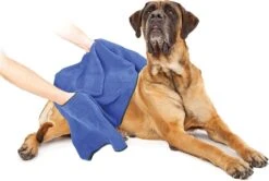 Duvo+ Hondenhanddoek 70 X 100 Cm -Katten En Honden Verkoop Winkel 1200x808