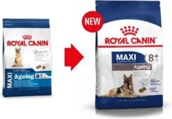 Royal Canin Maxi Ageing 8+ 15 KG -Katten En Honden Verkoop Winkel 1200x836