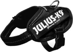 Julius K9 K9®Powertuig, S - Mini, Zwart -Katten En Honden Verkoop Winkel 1200x850