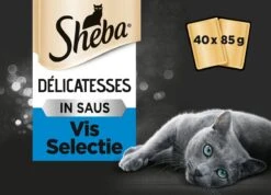 Sheba Delicatesse Katten Natvoer - Vis - 40 X 85 Gr -Katten En Honden Verkoop Winkel 1200x863 2
