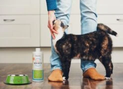 OxyFresh Pet Mondwater Hond En Kat. Helpt Tegen Tandsteen, Plak En Vieze Ademgeurtjes -Katten En Honden Verkoop Winkel 1200x864