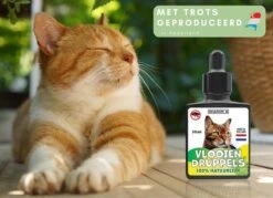 Natuurlijke Vlooiendruppels Voor Katten - Vanaf 4 Kg - 100% Natuurlijk - Vlooien - Zonder Giftige Pesticiden - 30 Ml - Speciale Formule Voor Katten - Vachtdruppels - Made In Holland -Katten En Honden Verkoop Winkel 1200x872 6