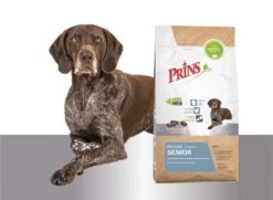 Prins Procare Senior - 15 KG -Katten En Honden Verkoop Winkel 1200x877