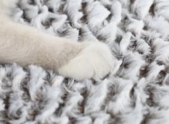 Merkloos Zelfverwarmende Dierendeken Zonder Stroom Thermo Deken Hond Kat Inclusief Adreslabel 70 X 47 Cm -Katten En Honden Verkoop Winkel 1200x878 1