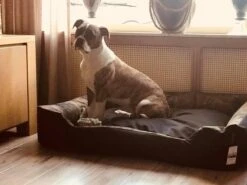 Hondenmand Cordura XXXL – Donkergrijs - 125 X 90 X 24 Cm -Katten En Honden Verkoop Winkel 1200x900 19