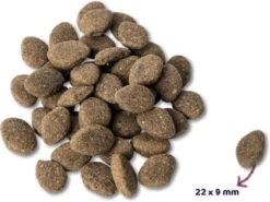 Renske Super Premium Adult Lam Graanvrij 12 KG -Katten En Honden Verkoop Winkel 1200x901