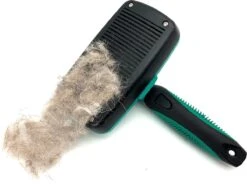 ElegaPet Hondenborstel Groen - Hondenhaar Verwijderen - Kat En Hondenkam - Slickerborstel Hond En Kat - Groomer - Ondervacht Kam Hond - Borstel Hond - Hondenborstel Langharig En Kortharig - Slickerborstel - Anti Klit/Knopen/Huidschilfers 12 ElegaPet Hondenborstel Groen - Hondenhaar Verwijderen - Kat En Hondenkam - Slickerborstel Hond En Kat - Groomer - Ondervacht Kam Hond - Borstel Hond - Hondenborstel Langharig En Kortharig - Slickerborstel - Anti Klit/Knopen/Huidschilfers -Katten En Honden Verkoop Winkel 1200x902