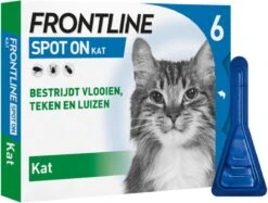 Frontline Spot-On Anti Vlooienmiddel Kat - 6 Pipetten -Katten En Honden Verkoop Winkel 1200x909