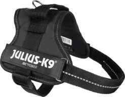 Julius K9 K9®Powertuig, S - Mini, Zwart -Katten En Honden Verkoop Winkel 1200x933