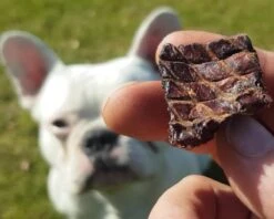 Topdiervoeding Runderlong Hondensnacks - Vers Gedroogd - Knapperig - 1 KG -Katten En Honden Verkoop Winkel 1200x960 2