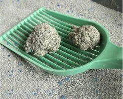 Merkloos Pet-Earth Golden Grey Master - Kattenbakvulling - Perfecte Klontvorming - 2 X 14 Kg -Katten En Honden Verkoop Winkel 1200x968