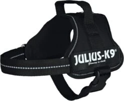 Julius K9 K9®Powertuig, S - Mini, Zwart -Katten En Honden Verkoop Winkel 1200x981