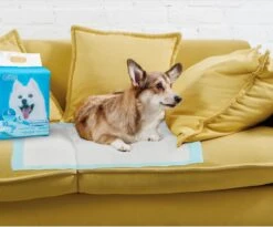 Nobleza 48LXB - Puppy Training Pads - 60 X 90 Cm - Zindelijkheidstraining - 100 Stuks -Katten En Honden Verkoop Winkel 1200x997