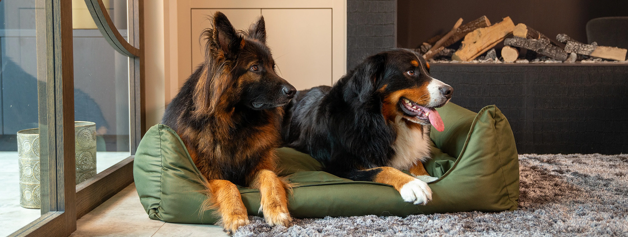 Katten En Honden Verkoop Winkel -Katten En Honden Verkoop Winkel 2