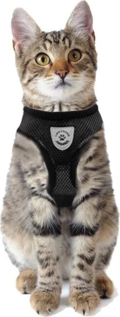 Merkloos Kattentuigje Met Looplijn | Zwart Kattenharnas | Easy Step In | Kattenriem | Kattenlijn | Kattentuig | Maat S -Katten En Honden Verkoop Winkel 457x1200