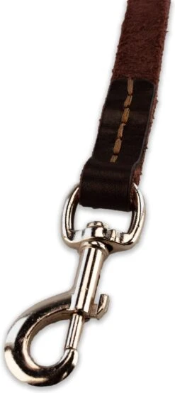 Multifunctionele Hondenriem - 220cm - Bruin - Leren Hondenriem - 100% Volnerfleer - Hondenriem Leer - Leiband Hond -Katten En Honden Verkoop Winkel 536x1200