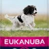 Eukanuba Dog Adult Medium Breed - Kip - Hondenvoer - 15 Kg