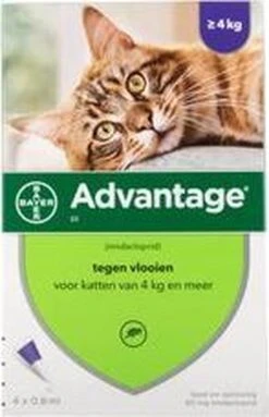 Advantage 80 Vlooiendruppelsl Kat Vanaf 4 Kg - 4 Pipetten -Katten En Honden Verkoop Winkel 773x1200 1