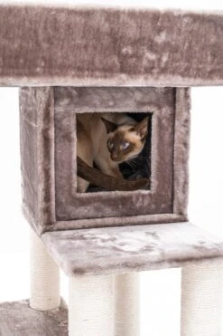 Petrebels Lodge 107 Krabpaal - Cappuccino - Design - Zeer Stabiel -Katten En Honden Verkoop Winkel 800x1200 7