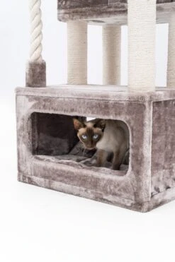 Petrebels Lodge 107 Krabpaal - Cappuccino - Design - Zeer Stabiel -Katten En Honden Verkoop Winkel 800x1200 8