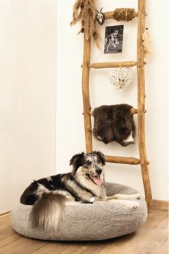 Beeztees Orthopedische Hondenmand Jaxx Grijs 70 Cm - Hond -Katten En Honden Verkoop Winkel 801x1200