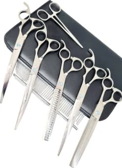 Katten En Honden Verkoop Winkel -Katten En Honden Verkoop Winkel 868x1200