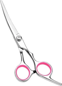 Professor Q - Hondenschaar Krom - Krommende Hondenschaar Rechts - Professionele Hondenschaar 6 Professor Q - Hondenschaar Krom - Krommende Hondenschaar Rechts - Professionele Hondenschaar -Katten En Honden Verkoop Winkel 875x1200 2