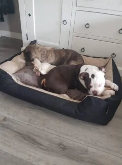 Hondenmand Cordura XXXL – Donkergrijs - 125 X 90 X 24 Cm -Katten En Honden Verkoop Winkel 892x1200