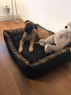 Hondenmand Cordura XXXL – Donkergrijs - 125 X 90 X 24 Cm -Katten En Honden Verkoop Winkel 900x1200 13