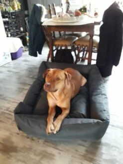 Hondenmand Cordura XXXL – Donkergrijs - 125 X 90 X 24 Cm -Katten En Honden Verkoop Winkel 900x1200 14