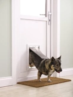 Petsafe 660 Hondenluik - Tot 100 Kg - Aluminium -Katten En Honden Verkoop Winkel 900x1200 4