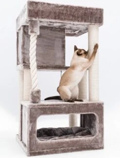 Petrebels Lodge 107 Krabpaal - Cappuccino - Design - Zeer Stabiel -Katten En Honden Verkoop Winkel 908x1200